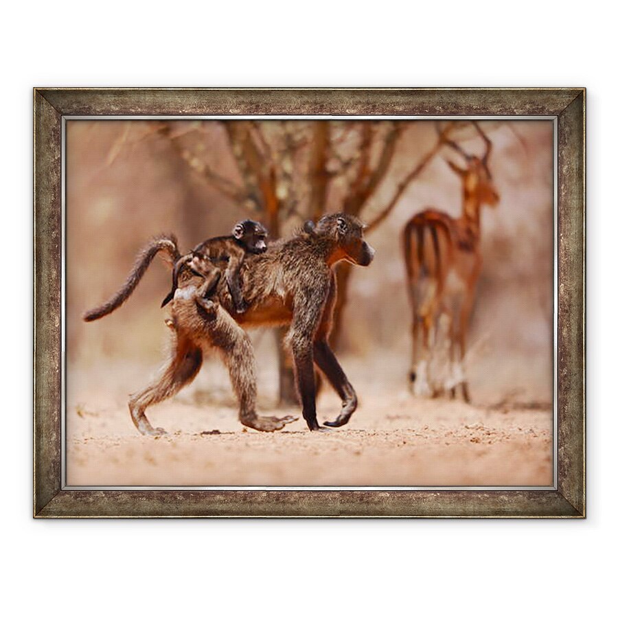 Tablou inramat - Eric Meyer - Mama babuin, 2019, 60 x 80 cm