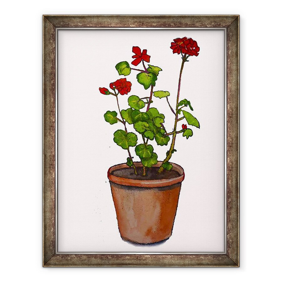 Tablou inramat - Sarah Thompson-Engels - Geraniums in ghiveci de flori,2019, 70 x 90 cm