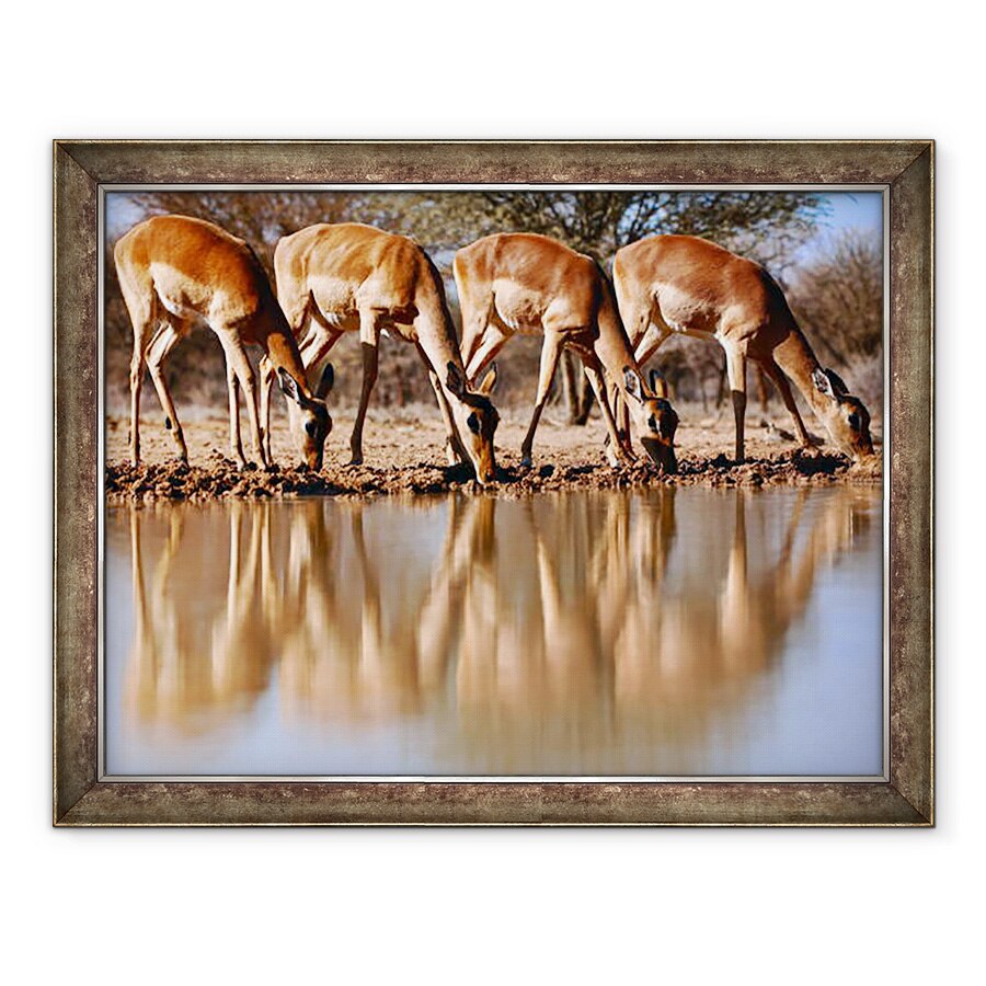 Tablou inramat - Eric Meyer - Impala baut, 2019, 60 x 80 cm