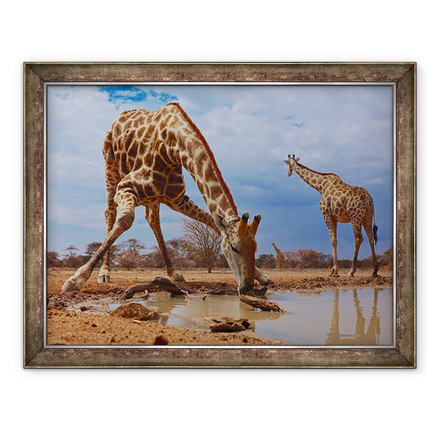 Tablou inramat - Eric Meyer - Notiuni de baza, 2019, 60 x 80 cm