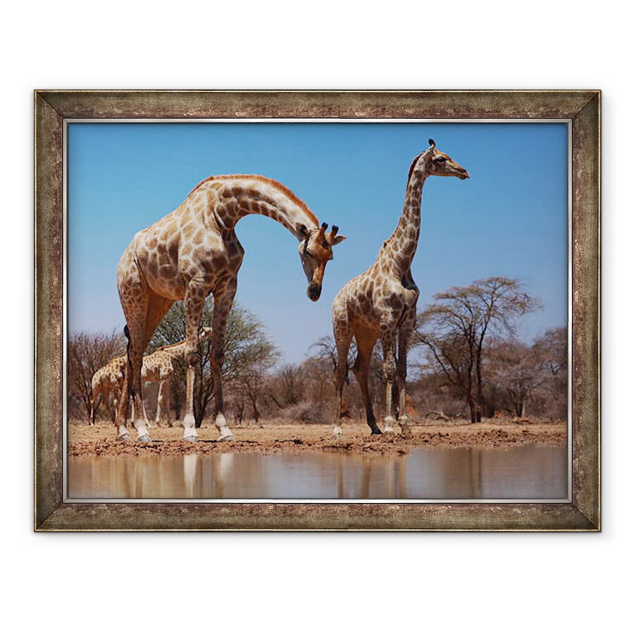 Tablou inramat - Eric Meyer - Girafe de Sud, 2019, 60 x 80 cm