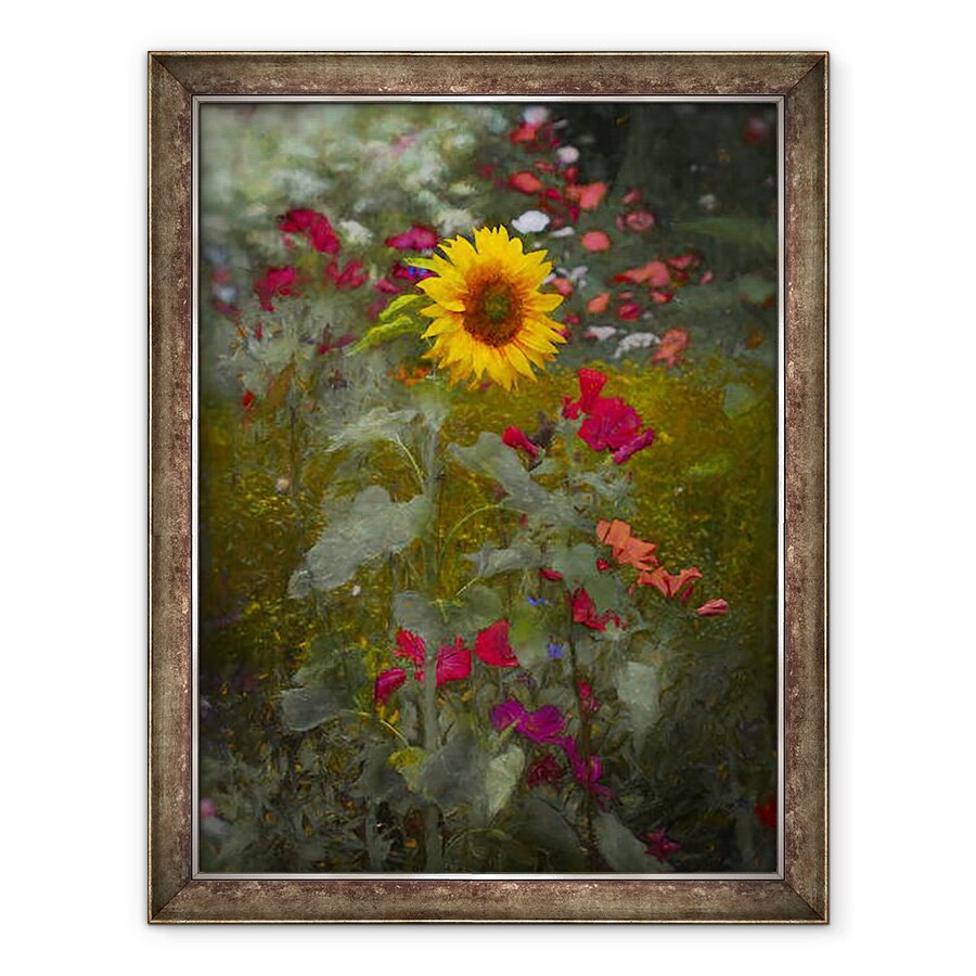 Tablou inramat - Helen White - Regele Soarelui, 2019, 60 x 80 cm