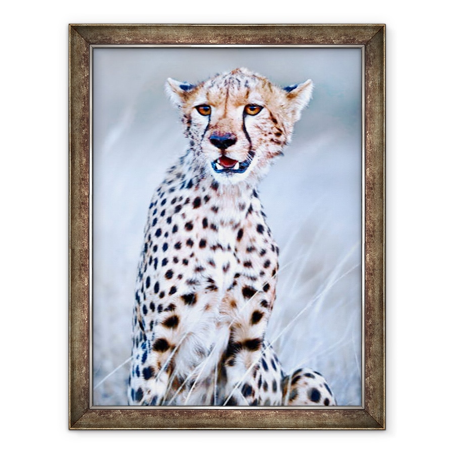 Tablou inramat - Eric Meyer - Tanar ghepard, 2019, 60 x 80 cm