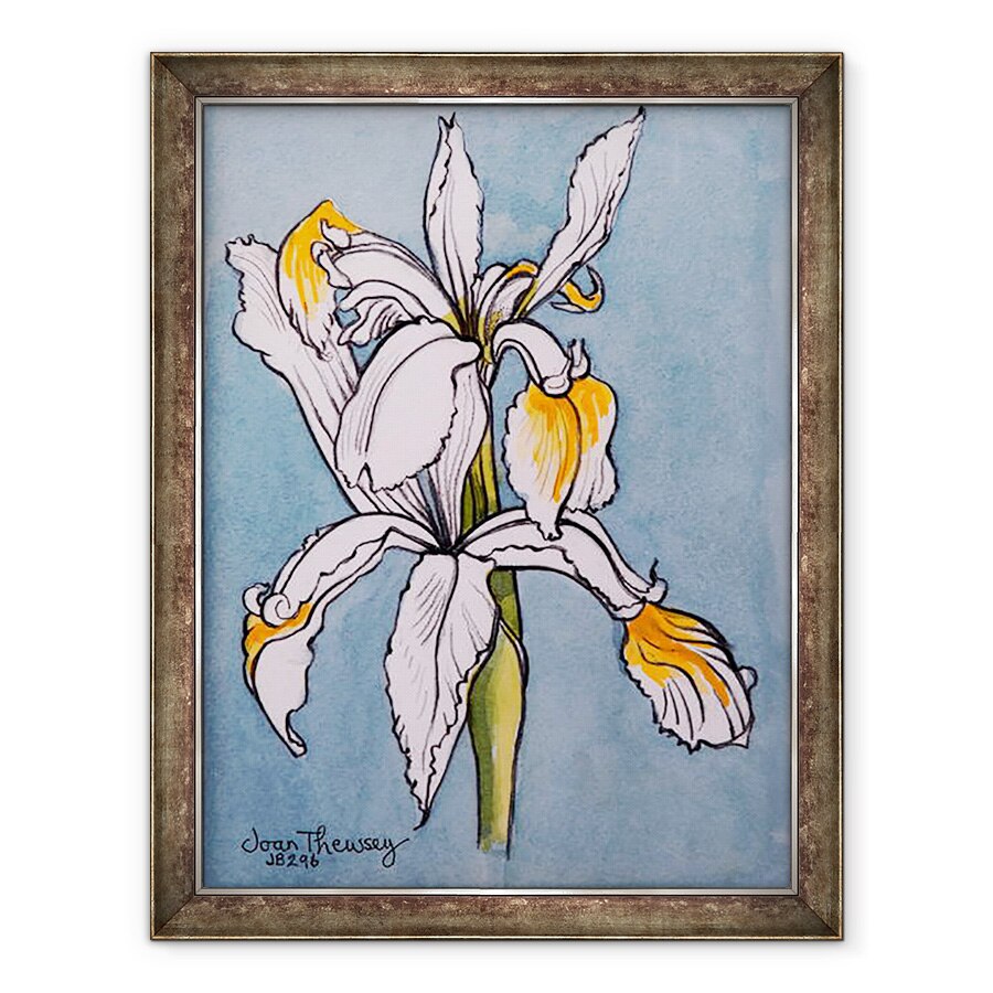 Tablou inramat - Joan Thewsey - Doua Iris, 2001, 70 x 90 cm