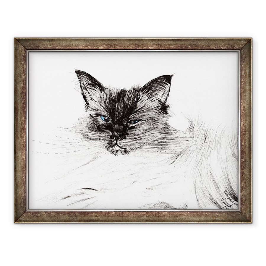 Tablou inramat - Vincent Alexander Booth - Ochi somnoros, 2015, 70 x 90 cm