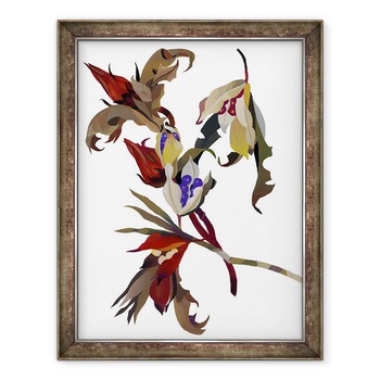 Tablou inramat - Hiroyuki Izutsu - Flori inspirate de iarna, 60 x 80 cm Tablou inramat - Hiroyuki Izutsu - Flori inspirate de iarna, 60 x 80 cm