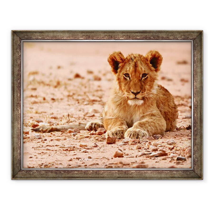 Tablou inramat - Eric Meyer - Cub, Muntele Etjo, 2018, 60 x 80 cm