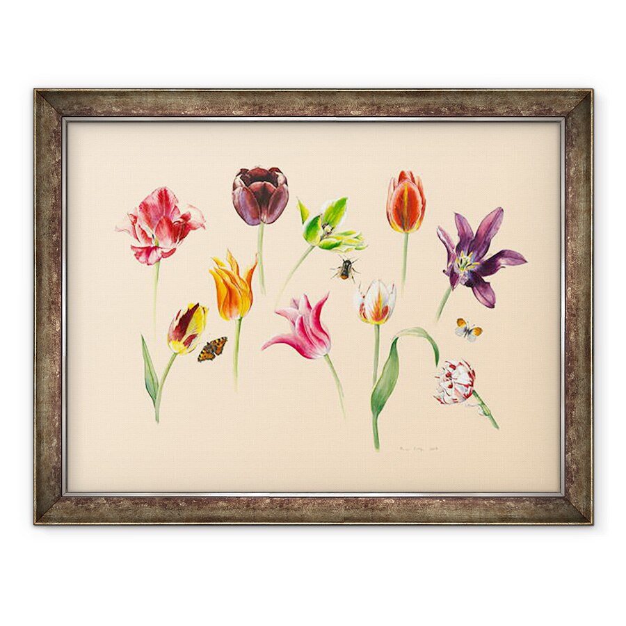 Tablou inramat - Alison Cooper - lalele de primavara si insecte, 60 x 80 cm