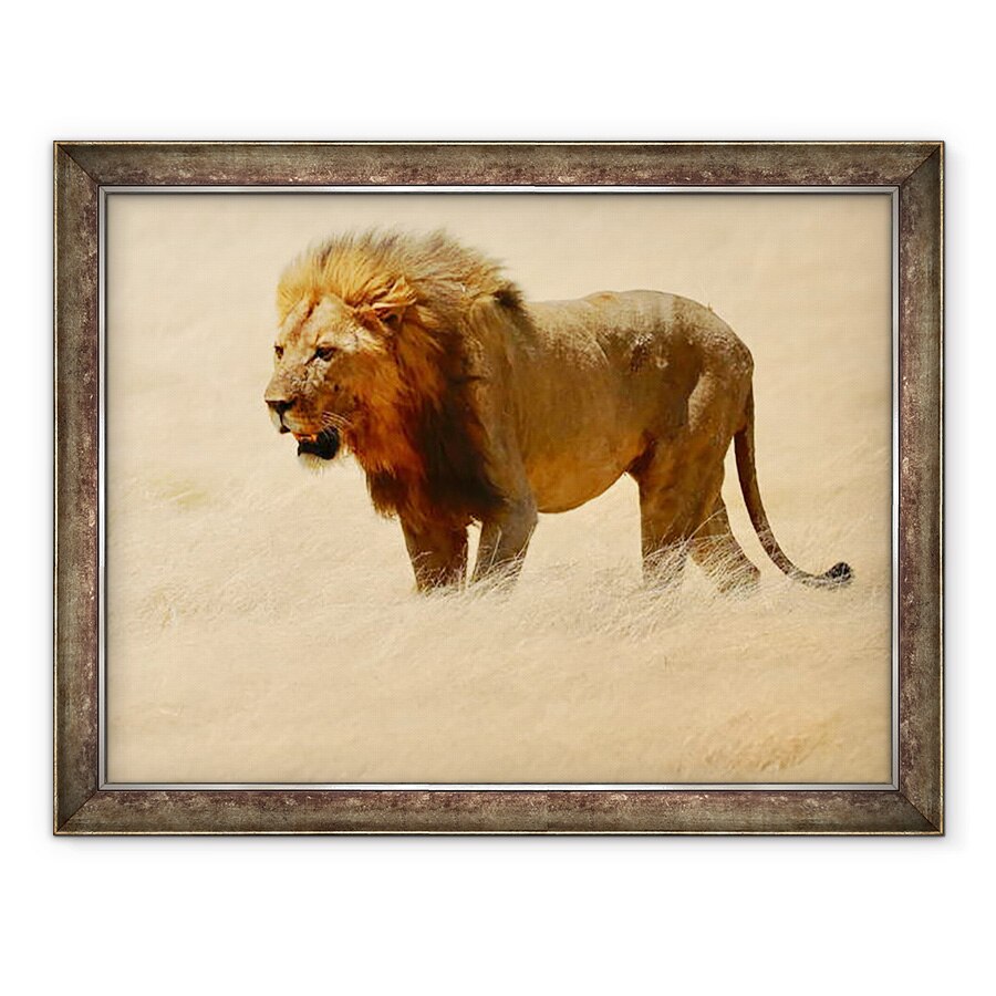 Tablou inramat - Eric Meyer - Warrior, Etosha, 2018, 60 x 80 cm