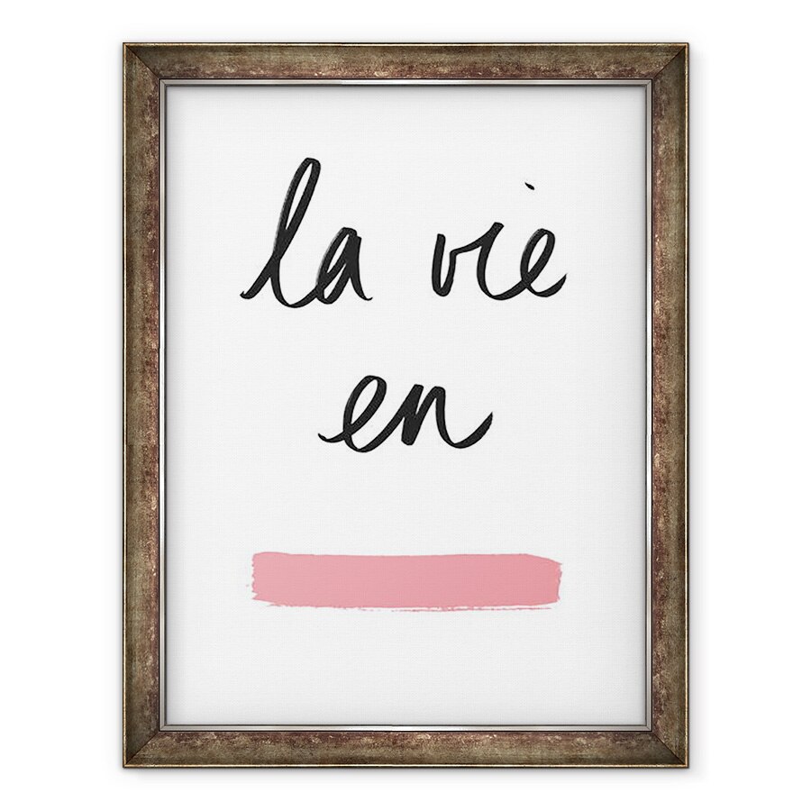 Tablou inramat - Florent Bodart - La vie en rose, 60 x 80 cm