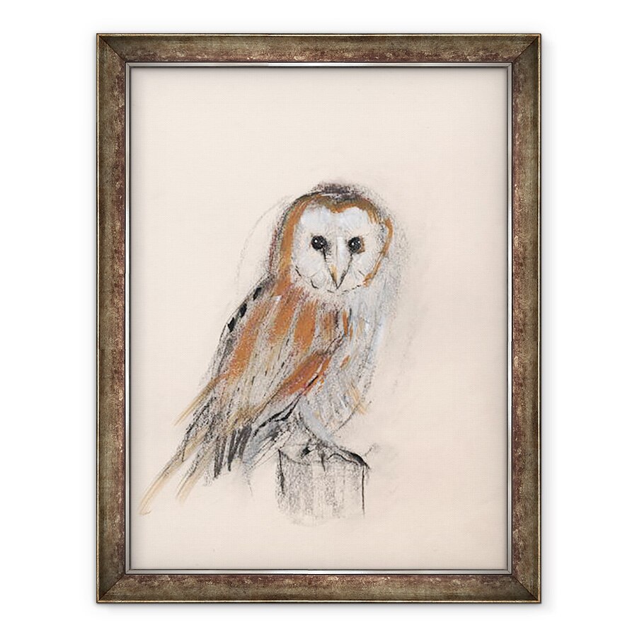 Tablou inramat - Faisal Khouja - Bufnita de hambar, 2013, 60 x 80 cm