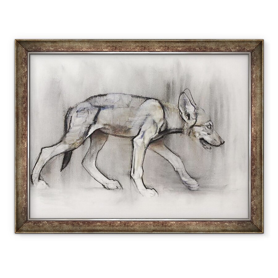 Tablou inramat - Mark Adlington - Pup Lean Lupul Arabian, 60 x 80 cm