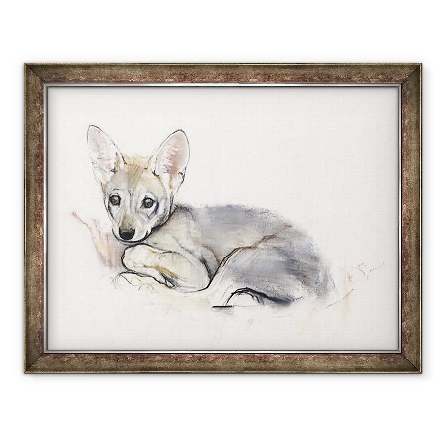 Tablou inramat - Mark Adlington - Pup Lup Arabian Curled, 60 x 80 cm