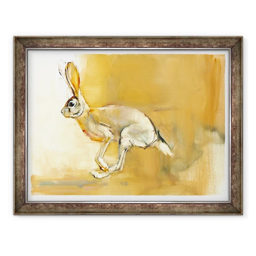 Tablou inramat - Mark Adlington - Cape iepure, 60 x 80 cm