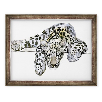 Tablou inramat - Mark Adlington - Leopard VI, 60 x 80 cm Tablou inramat - Mark Adlington - Leopard VI, 60 x 80 cm