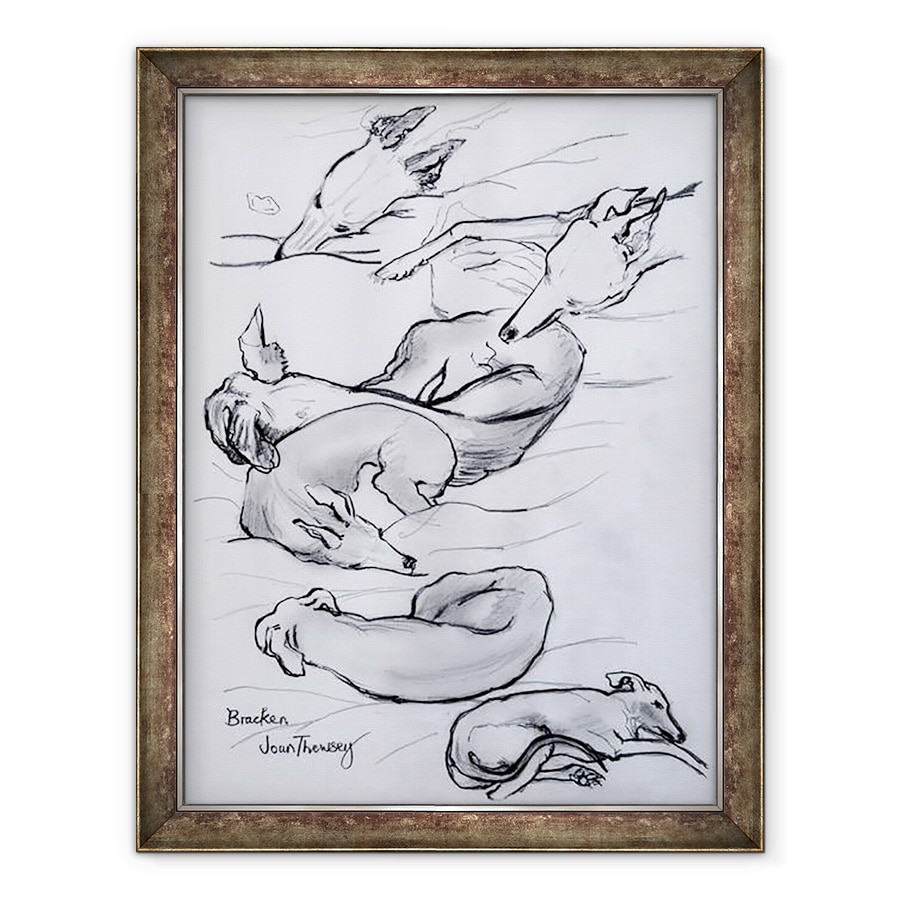 Tablou inramat - Joan Thewsey - Bracken, Whippet, 2000, 70 x 90 cm