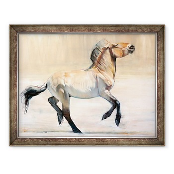 Tablou inramat - Mark Adlington - Equus Przewalski, 2014, 60 x 80 cm Tablou inramat - Mark Adlington - Equus Przewalski, 2014, 60 x 80 cm