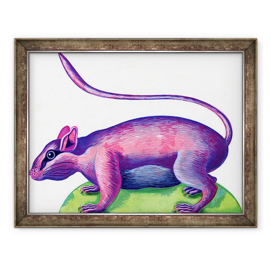 Tablou inramat - Jane Tattersfield - Sobolan, 1996, 60 x 80 cm