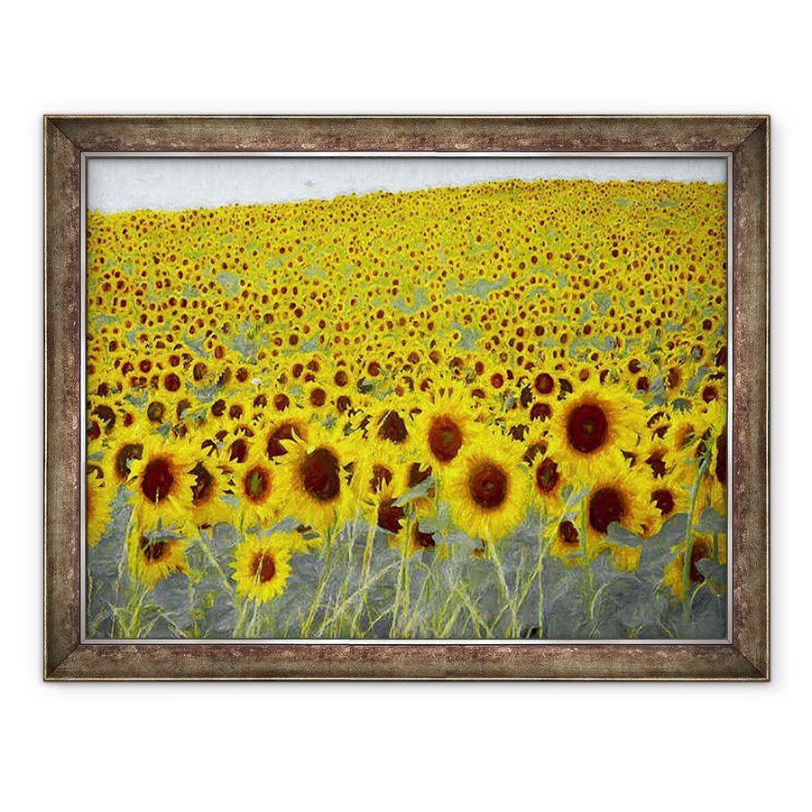 Tablou inramat - Helen White - Floarea-soarelui, 2019, 60 x 80 cm