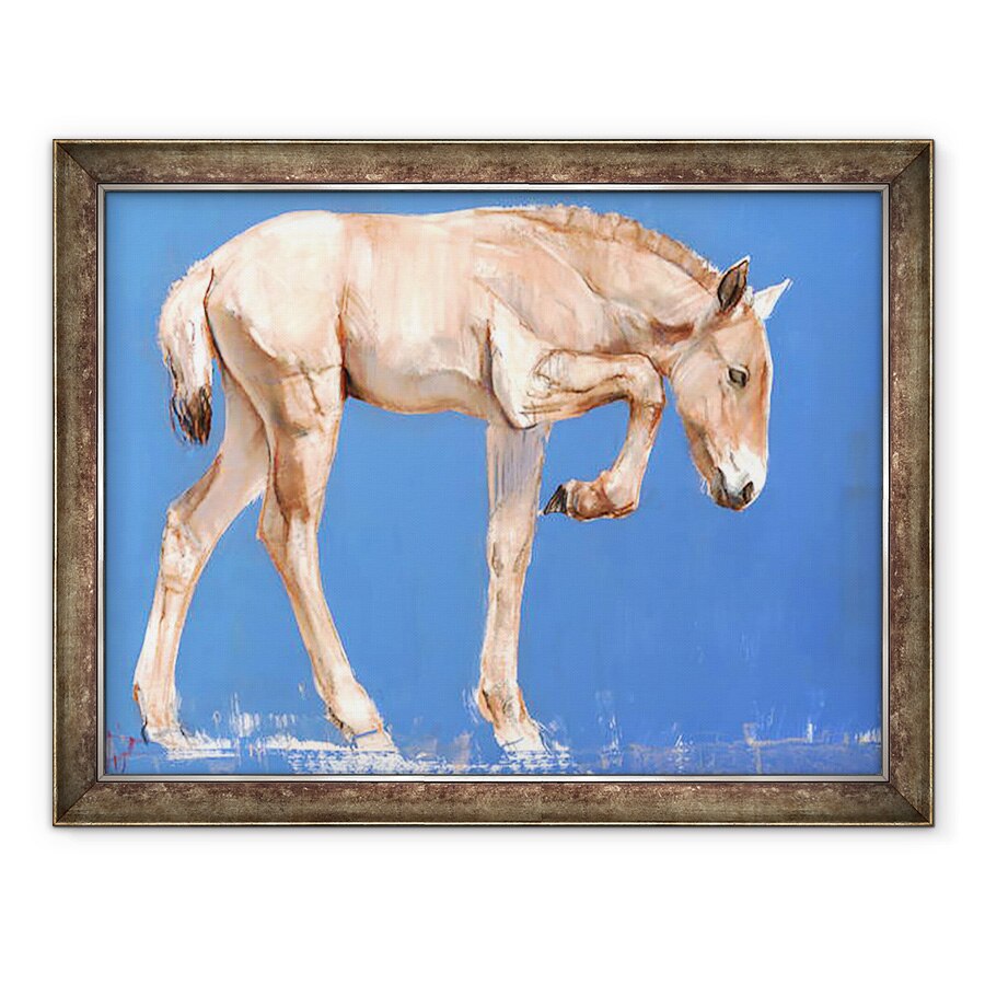 Tablou inramat - Mark Adlington - Przewalski manz, 2012, 60 x 80 cm