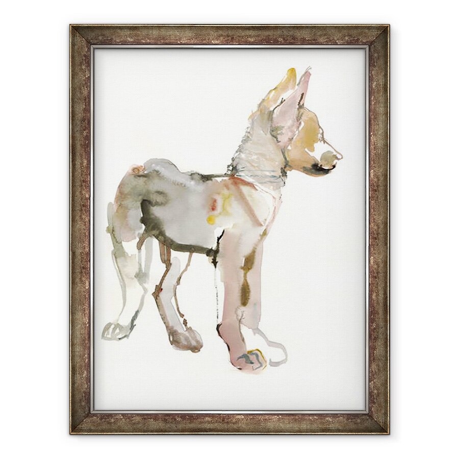 Tablou inramat - Mark Adlington - Waggle Arabian Wolf Pup, 2011, 70 x 90 cm