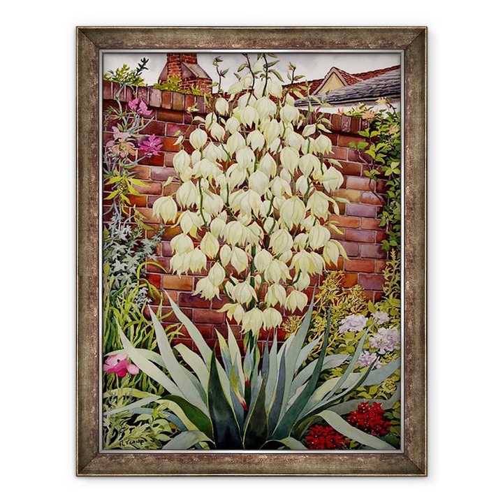 yucca lidl