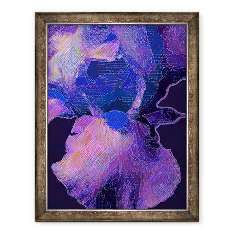 Tablou inramat - Scott J. Davis - Albastru Iris, 60 x 80 cm