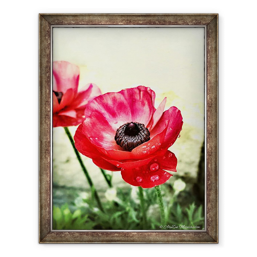 Tablou inramat - AlyZen Moonshadow - Anemone Rosii, 2013, 60 x 80 cm