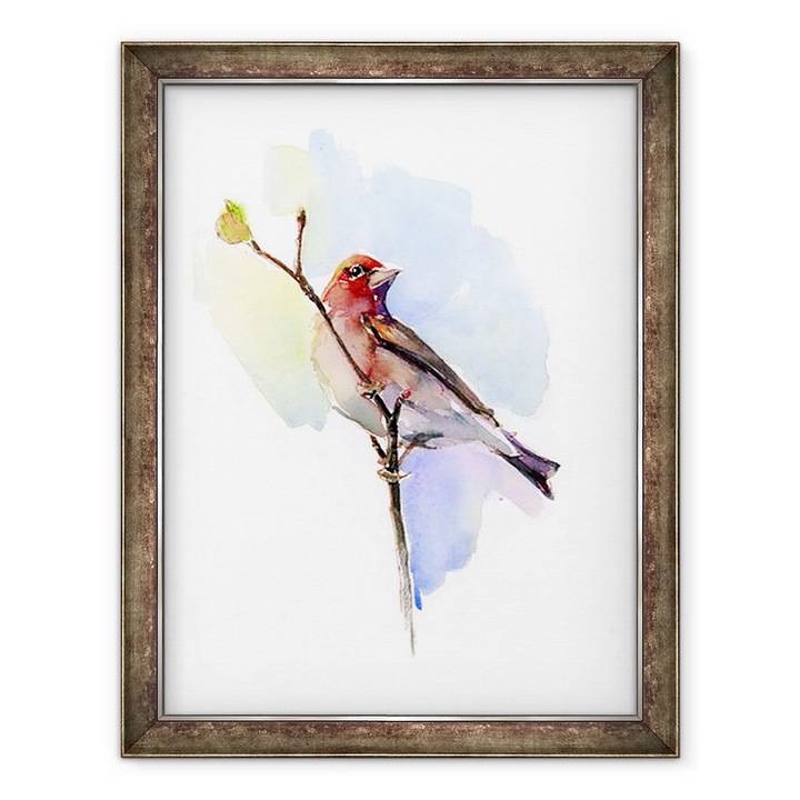 Tablou inramat - John Keeling - Cinteza mov, 2016, 70 x 90 cm