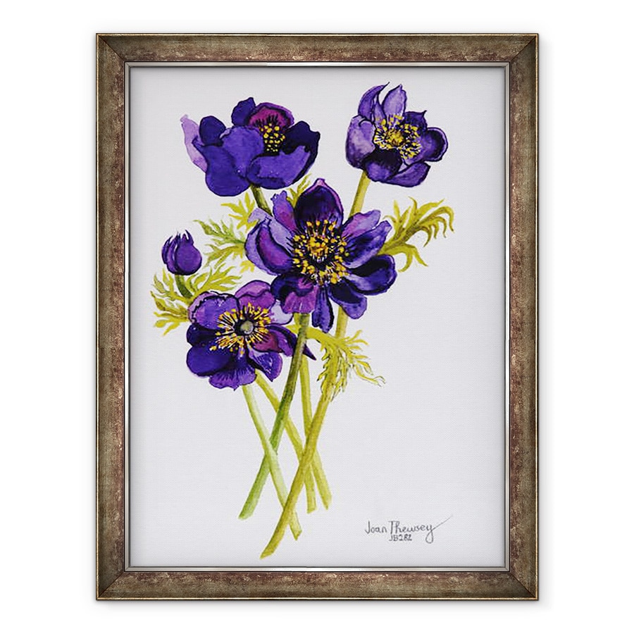 Tablou inramat - Joan Thewsey - Anemone, 2011, 60 x 80 cm