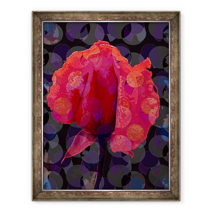 Tablou inramat - Scott J. Davis - Ceai Rose 3b, 60 x 80 cm