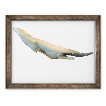 Tablou inramat - Mark Adlington - Plutind la suprafata, 2014, 70 x 90 cm Tablou inramat - Mark Adlington - Plutind la suprafata, 2014, 70 x 90 cm