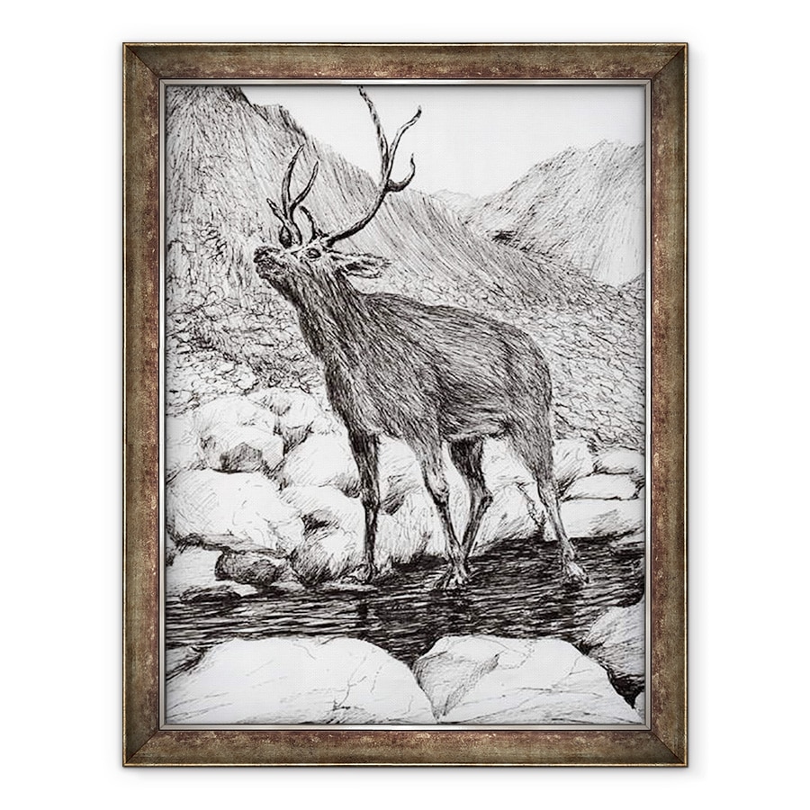 Tablou inramat - Vincent Alexander Booth - Cerb, 2011, 60 x 80 cm