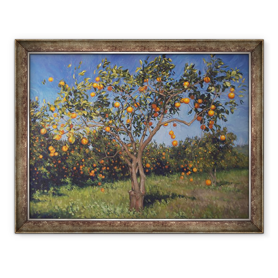 Tablou inramat - angus hampel - Suntree, 2013, 60 x 80 cm