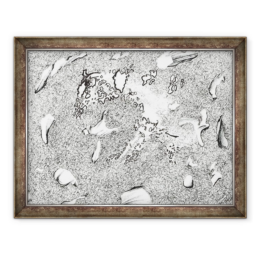 Tablou inramat - Vincent Alexander Booth - Aparitia cailor, 2017, 70 x 90 cm