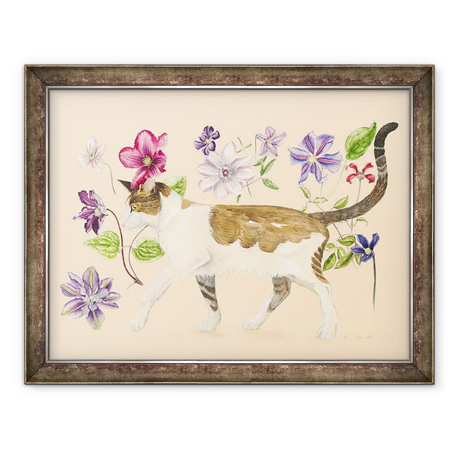 Tablou inramat - Alison Cooper - O pisica pe nume Dave, 60 x 80 cm