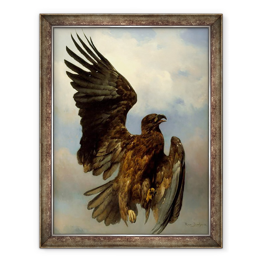 Tablou inramat - Rosa Bonheur - Vulturul Ranit, 60 x 80 cm