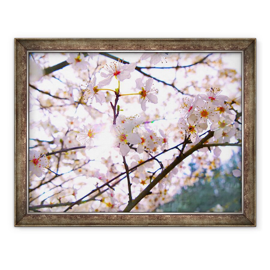 Tablou inramat - Helen White - Floarea de Primavara, 2018, 60 x 80 cm