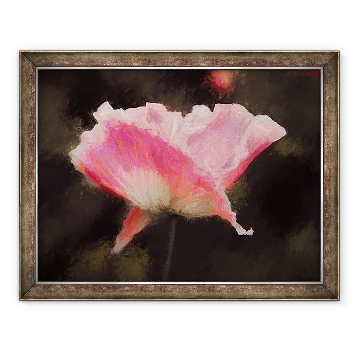 Tablou inramat - Helen White - Roz moale, 2018, 70 x 90 cm