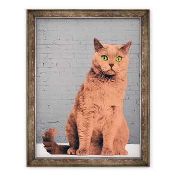 Tablou inramat - Anne Storno - Toata lumea vrea sa fie o pisica, 2017, 60 x 80 cm Tablou inramat - Anne Storno - Toata lumea vrea sa fie o pisica, 2017, 60 x 80 cm