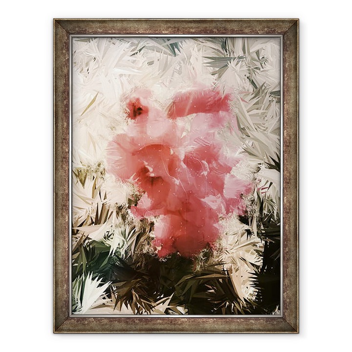 Tablou inramat - Sylver Bernat - Narcis roz, 2018, 60 x 80 cm