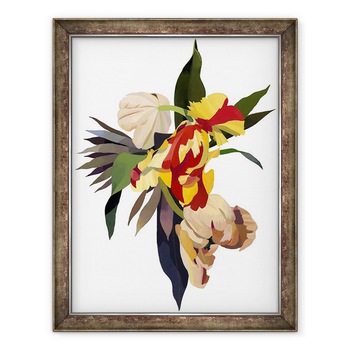 Tablou inramat - Hiroyuki Izutsu - Papagal Lalea 3, 60 x 80 cm Tablou inramat - Hiroyuki Izutsu - Papagal Lalea 3, 60 x 80 cm