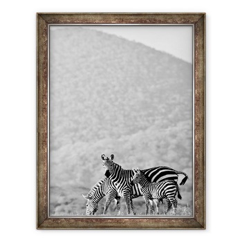 Tablou inramat - Eric Meyer - Zebra, Chyulus, 2018, 60 x 80 cm Tablou inramat - Eric Meyer - Zebra, Chyulus, 2018, 60 x 80 cm