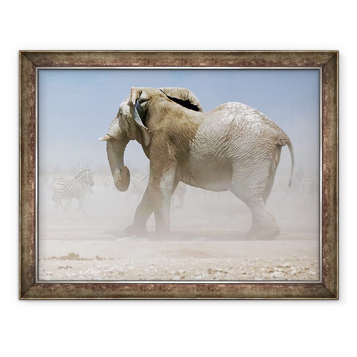 Tablou inramat - Eric Meyer - Bull Elephant, Etosha, 2018, 60 x 80 cm