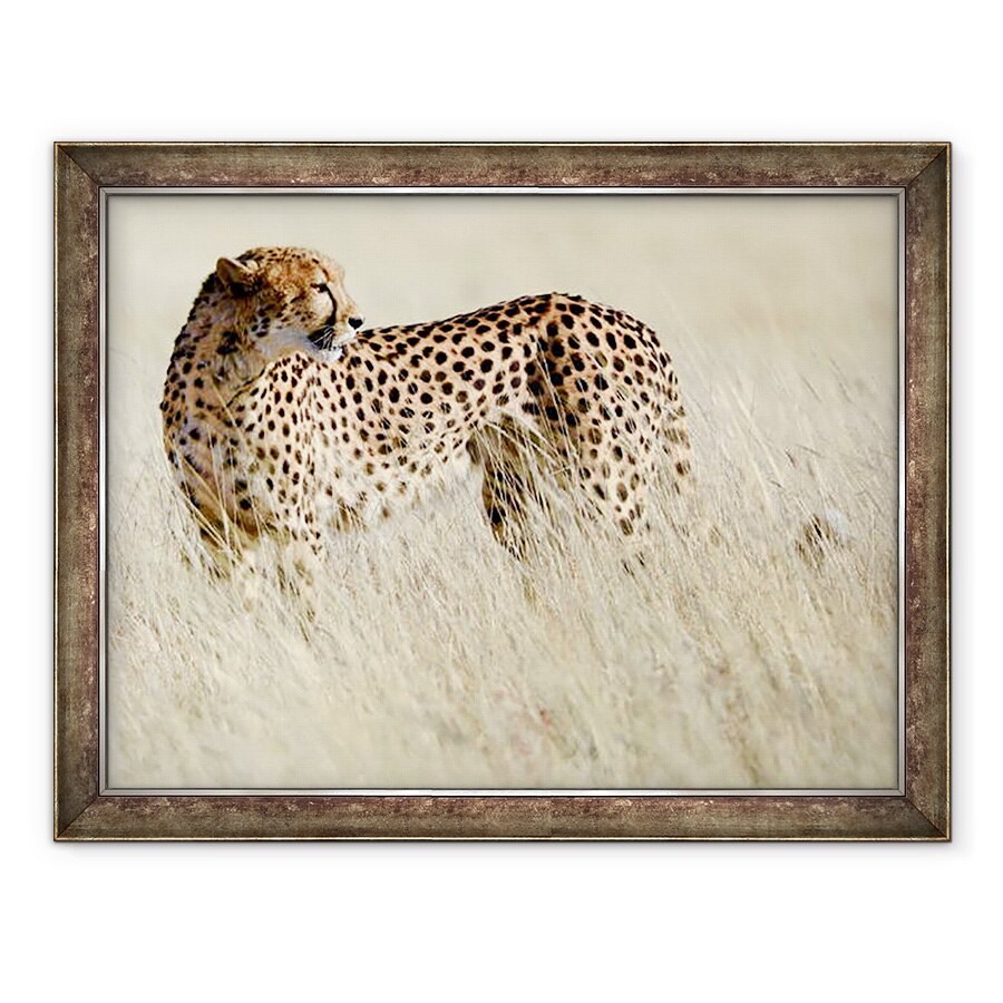 Tablou inramat - Eric Meyer - Cheetah, Etosha, 2017, 60 x 80 cm