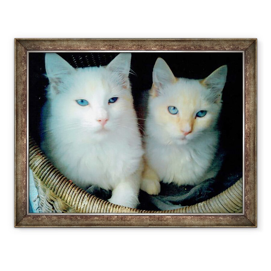 Tablou inramat - Vincent Alexander Booth - Cine a facut-o?, 2017, 60 x 80 cm