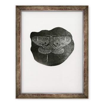 Tablou inramat - Bella Larsson - Noapte Fluture, 2016, 60 x 80 cm Tablou inramat - Bella Larsson - Noapte Fluture, 2016, 60 x 80 cm