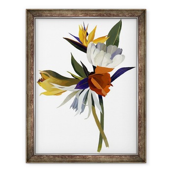 Tablou inramat - Hiroyuki Izutsu - Aranjate cu flori de petale albe ca referinta., 60 x 80 cm Tablou inramat - Hiroyuki Izutsu - Aranjate cu flori de petale albe ca referinta., 60 x 80 cm