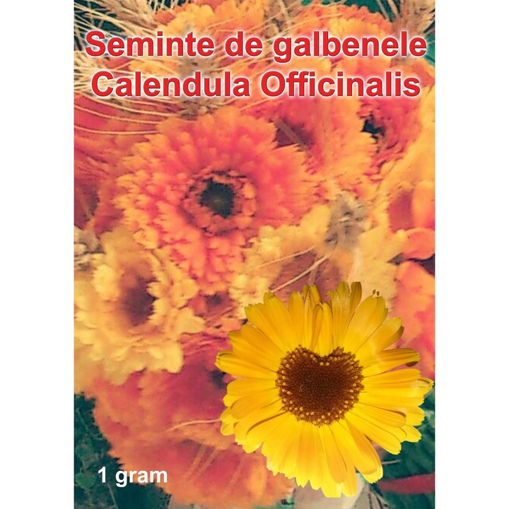 Seminte Galbenele Calendula officinalis Art Shades, plic, 1 gram