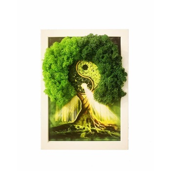 Tablou cu licheni verzi Copacel Yin & Yang 35x26 cm Tablou cu licheni verzi Copacel Yin & Yang 35x26 cm